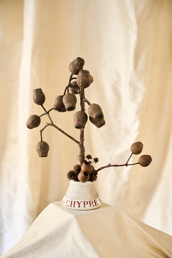 Chypre-Quinquin