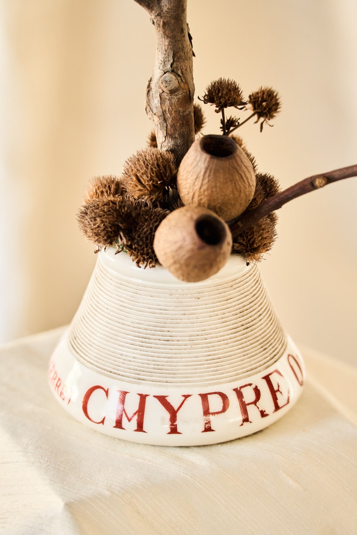 Chypre-Quinquin