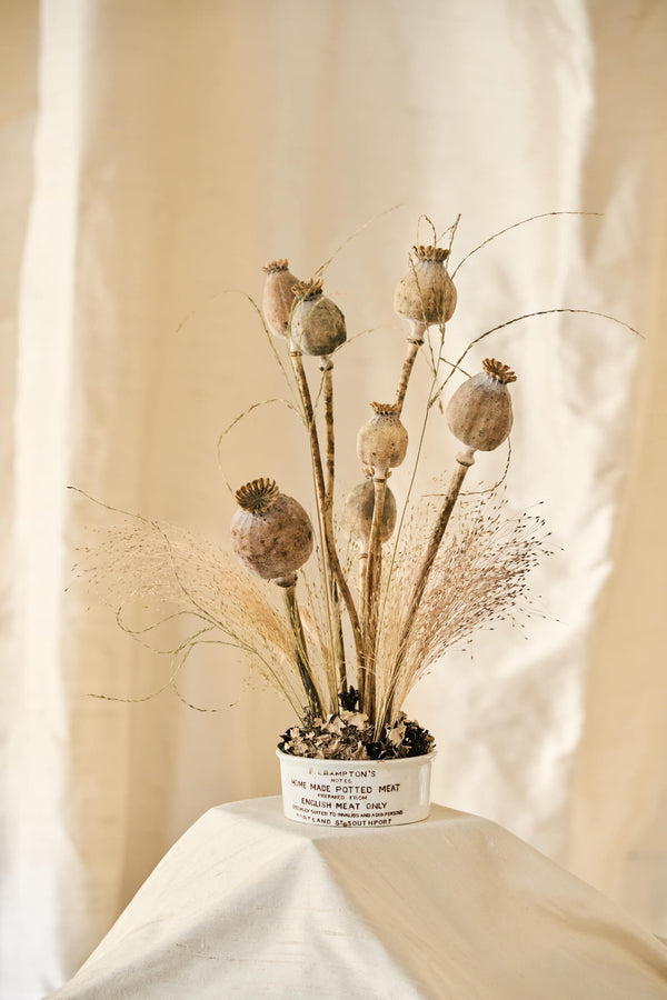F. Crampton’s Potted Meat